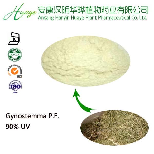 Top Quality Gypenosides 30--98- made in china